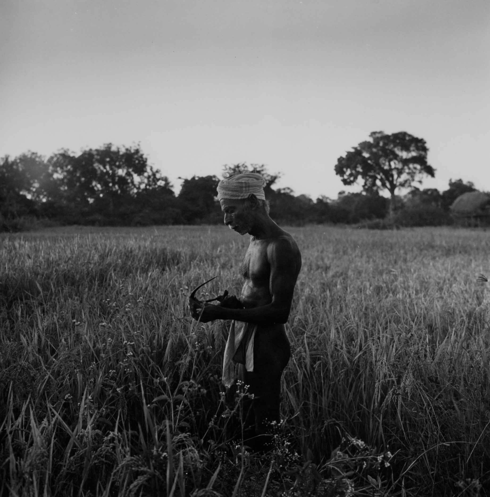 68a Vavuniya farmer, 1994 006