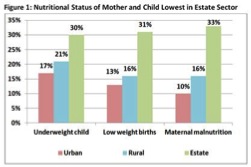 Source: Institute of Policy Studies Sri Lanka