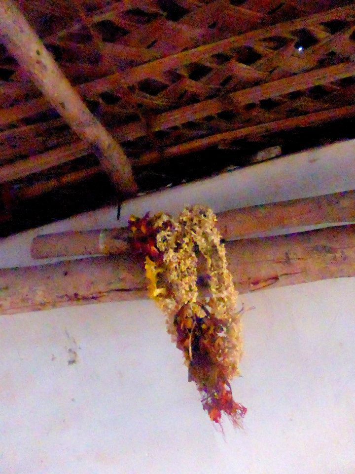 Udan 1