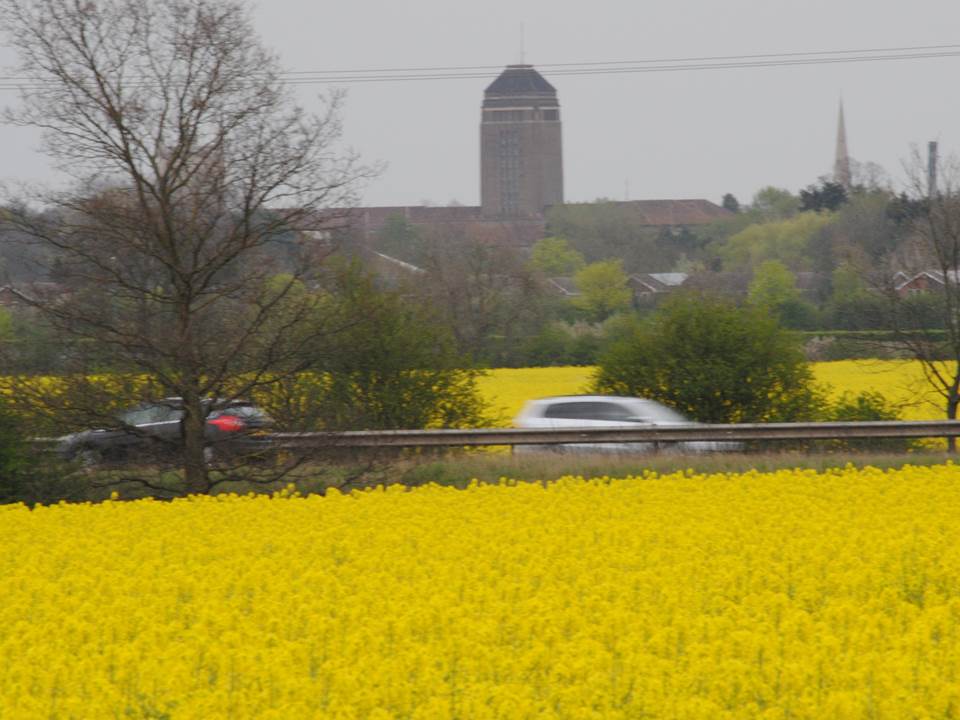rapeseedonmotorway