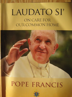 The Pope, our Planet and being Religious: Laudato Si’: On care for our common home. Encyclical letter by Pope Francis, August 2015. 120 pages. ISBN: 978 1 78469 070 0.