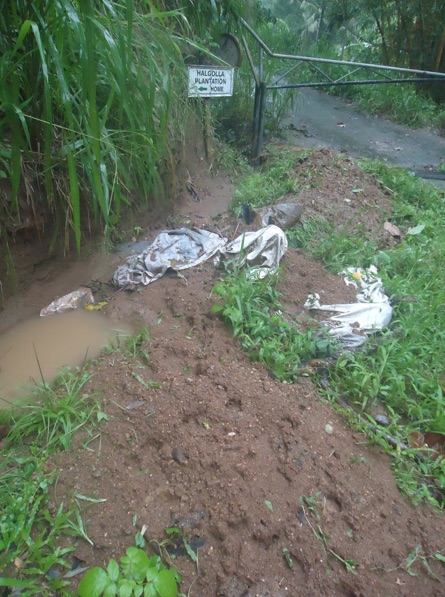 Bags of butcher's offal dumped at (locked) gate of “landfill”