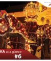 The Animal Welfare Bill & The Elephant Tn The Room: Cruelty in Culture, Wealth, & Power