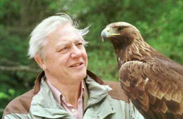 A bird in the hand and more in the bush