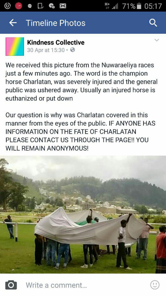 Charlatan on ground after the fall.