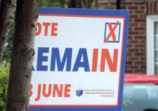 Remain in Europe Campaign, Photograph by S. Thevaram 2016
