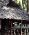 How & Why Economic Growth & Development Matter