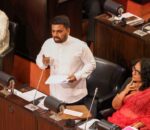 The NPP’s Constitutional Reforms: Purposes & Processes