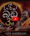 Beyond Orthodoxy: Critical Hermeneutics, Institutional Power & Reform In Contemporary Sri Lankan Theravada Buddhism